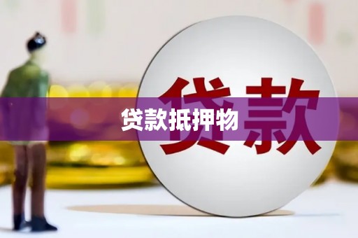 剑河贷款抵押物
