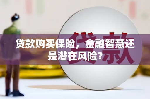 剑河贷款购买保险，金融智慧还是潜在风险？