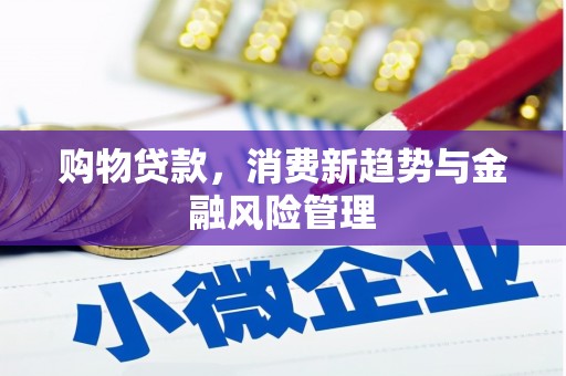 剑河购物贷款，消费新趋势与金融风险管理