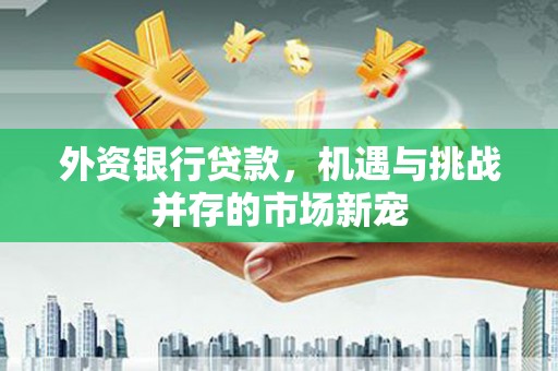 剑河外资银行贷款，机遇与挑战并存的市场新宠