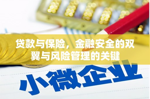 剑河贷款与保险，金融安全的双翼与风险管理的关键