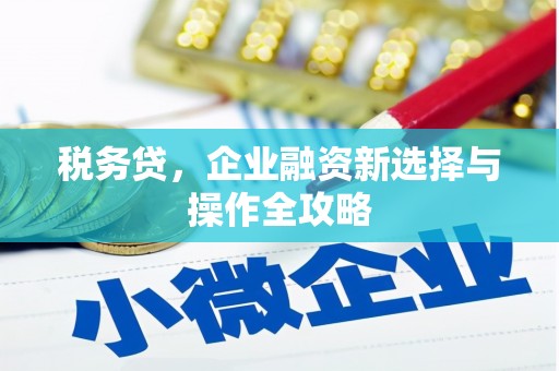 剑河税务贷，企业融资新选择与操作全攻略
