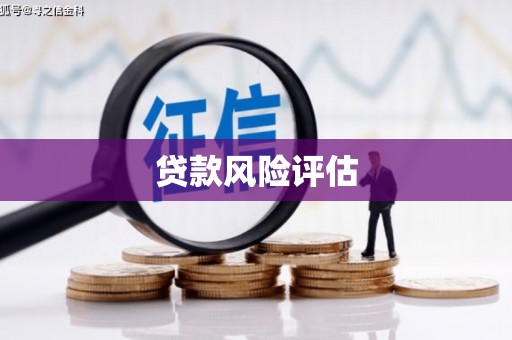 剑河贷款风险评估