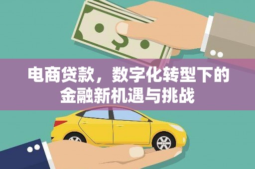 剑河电商贷款，数字化转型下的金融新机遇与挑战