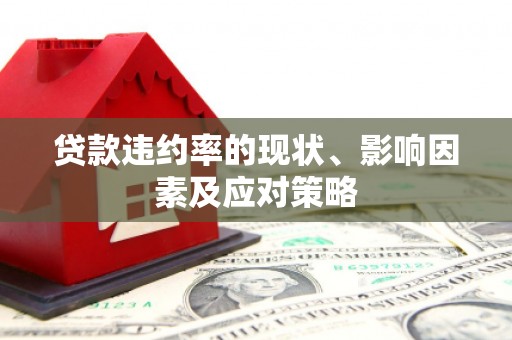 剑河贷款违约率的现状、影响因素及应对策略