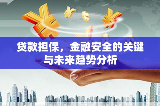剑河贷款担保，金融安全的关键与未来趋势分析