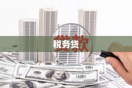 剑河税务贷