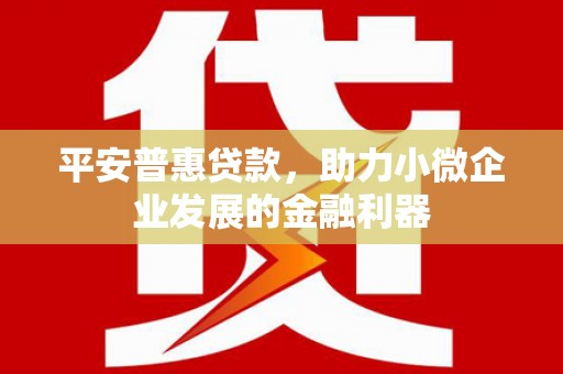 剑河平安普惠贷款，助力小微企业发展的金融利器