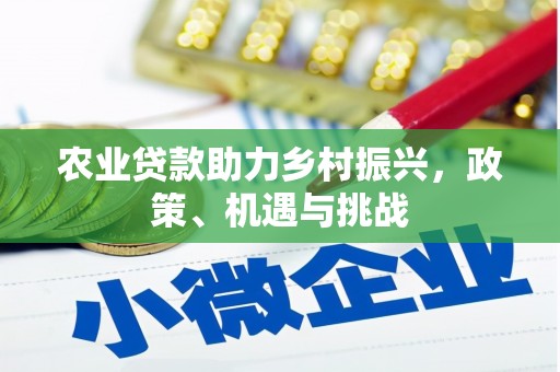 剑河农业贷款助力乡村振兴，政策、机遇与挑战