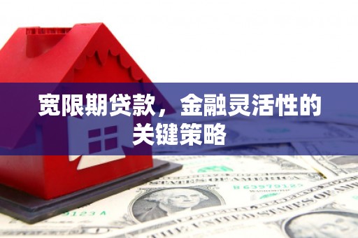 剑河宽限期贷款，金融灵活性的关键策略