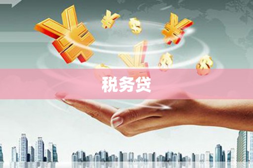 剑河税务贷