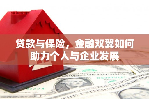 剑河贷款与保险，金融双翼如何助力个人与企业发展