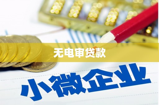 剑河无电审贷款