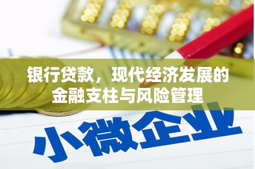 剑河银行贷款，现代经济发展的金融支柱与风险管理
