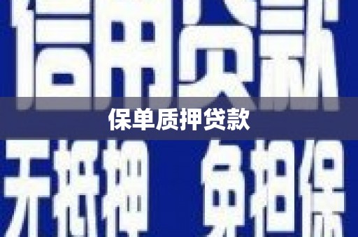 剑河保单质押贷款