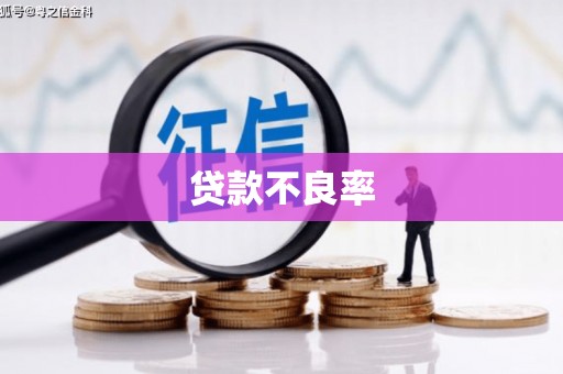 剑河贷款不良率