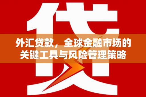 剑河外汇贷款，全球金融市场的关键工具与风险管理策略
