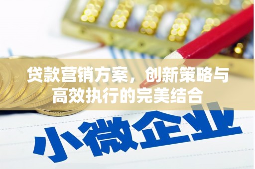 剑河贷款营销方案，创新策略与高效执行的完美结合