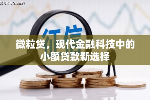 剑河微粒贷，现代金融科技中的小额贷款新选择