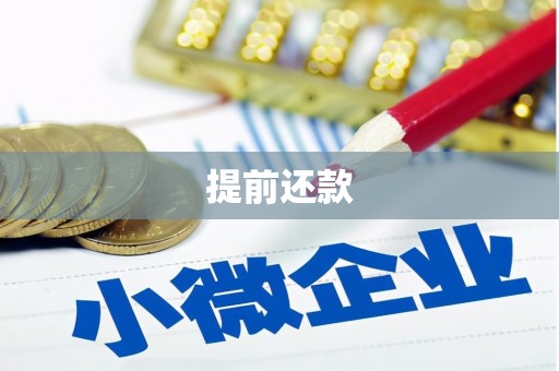 剑河提前还款