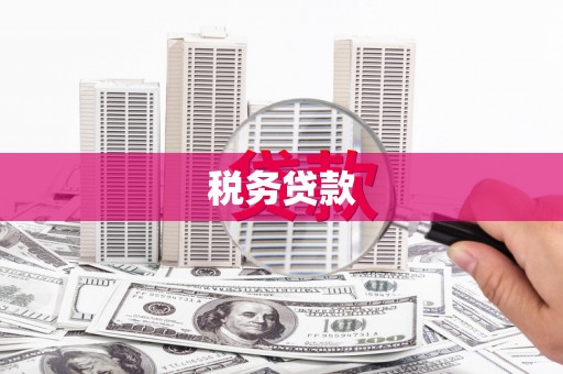 剑河税务贷款