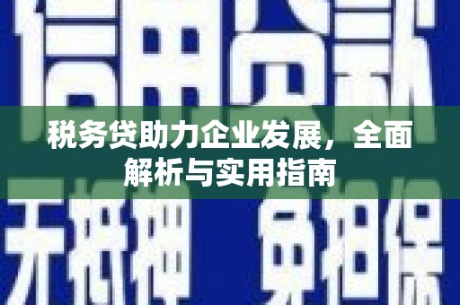 剑河税务贷助力企业发展，全面解析与实用指南