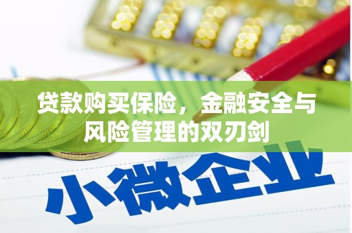 剑河贷款购买保险，金融安全与风险管理的双刃剑