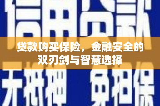 剑河贷款购买保险，金融安全的双刃剑与智慧选择