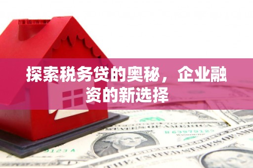 剑河探索税务贷的奥秘，企业融资的新选择