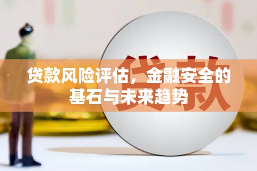 剑河贷款风险评估，金融安全的基石与未来趋势