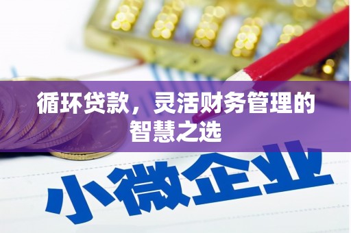 剑河循环贷款，灵活财务管理的智慧之选