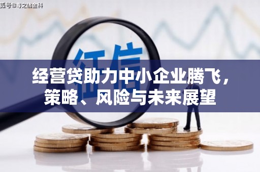 剑河经营贷助力中小企业腾飞，策略、风险与未来展望