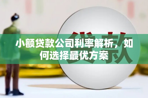 剑河小额贷款公司利率解析，如何选择最优方案