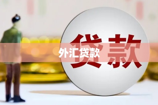 剑河外汇贷款