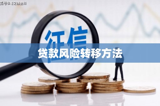剑河贷款风险转移方法