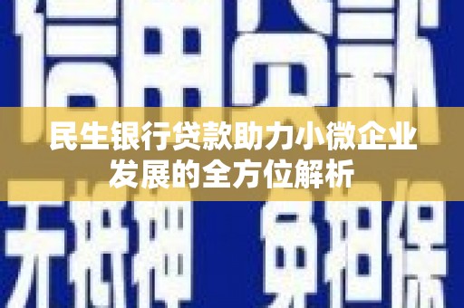 剑河民生银行贷款助力小微企业发展的全方位解析