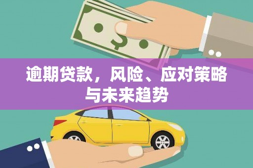 剑河逾期贷款，风险、应对策略与未来趋势