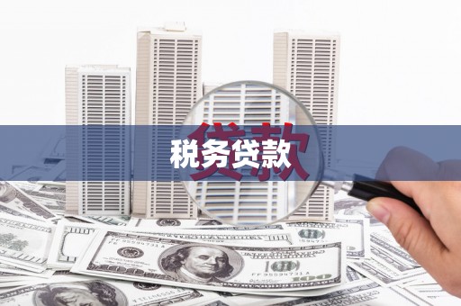 剑河税务贷款