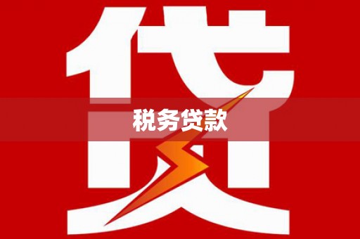 剑河税务贷款