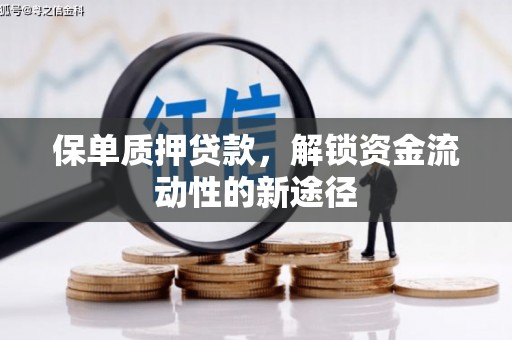 剑河保单质押贷款，解锁资金流动性的新途径