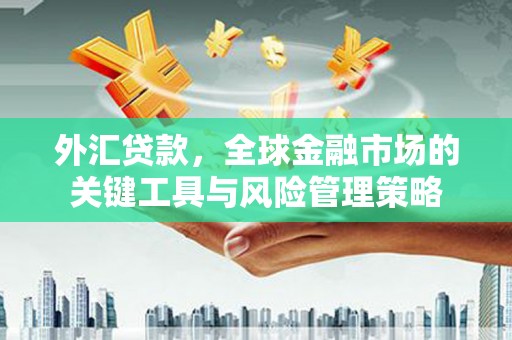 剑河外汇贷款，全球金融市场的关键工具与风险管理策略
