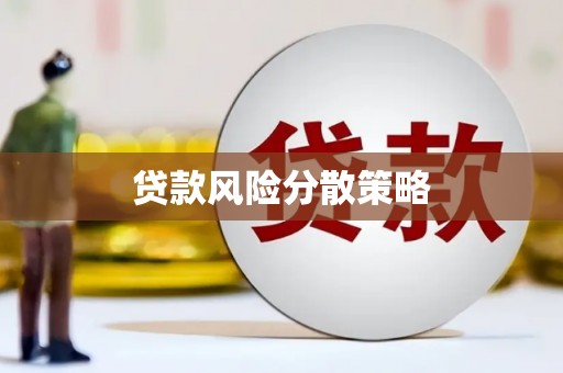 剑河贷款风险分散策略