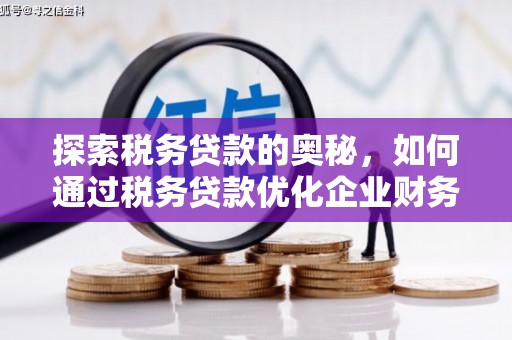 剑河探索税务贷款的奥秘，如何通过税务贷款优化企业财务