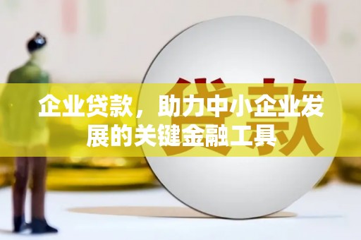剑河企业贷款，助力中小企业发展的关键金融工具