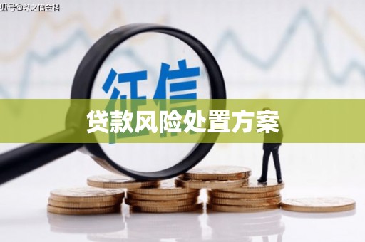 剑河贷款风险处置方案