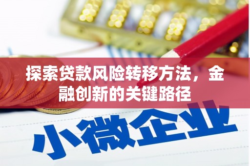 剑河探索贷款风险转移方法，金融创新的关键路径