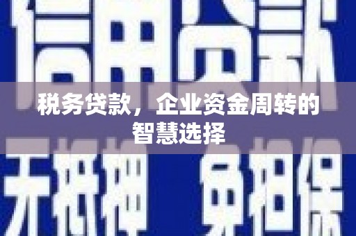 剑河税务贷款，企业资金周转的智慧选择