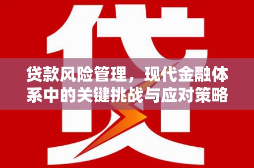 剑河贷款风险管理，现代金融体系中的关键挑战与应对策略