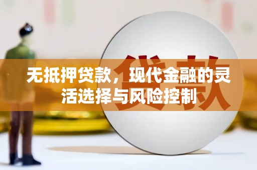 剑河无抵押贷款，现代金融的灵活选择与风险控制