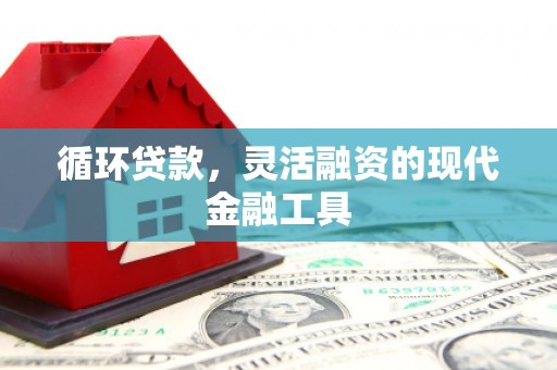 剑河循环贷款，灵活融资的现代金融工具